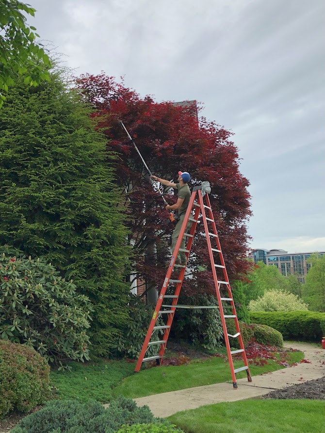 Landscape Maintenance Venetia