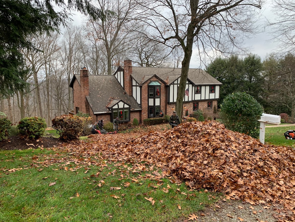 Landscape Maintenance Venetia