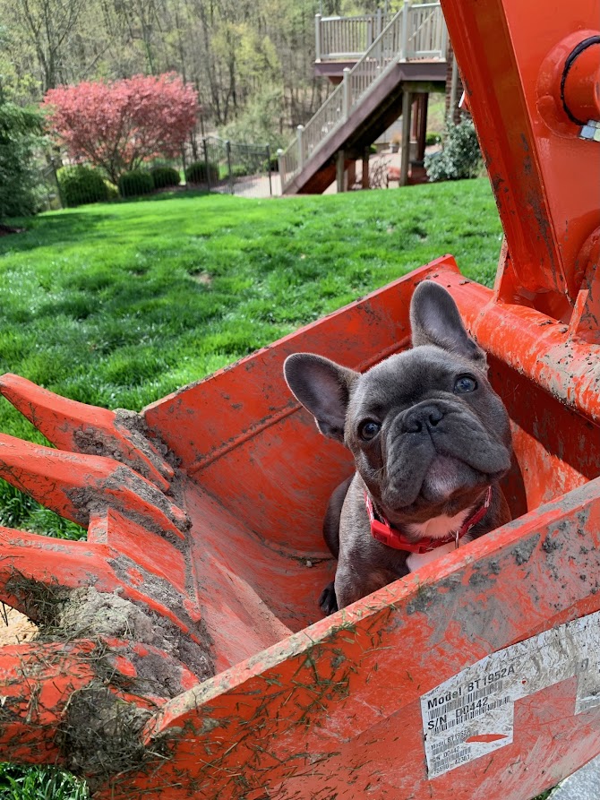 Contact Verner's Lawn Care