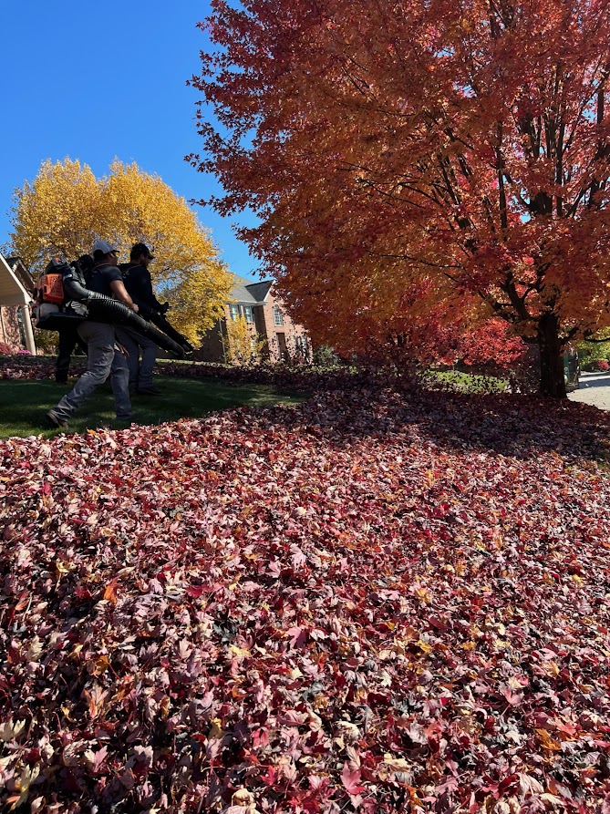 Spring & Fall Cleanups in Venetia, Pa