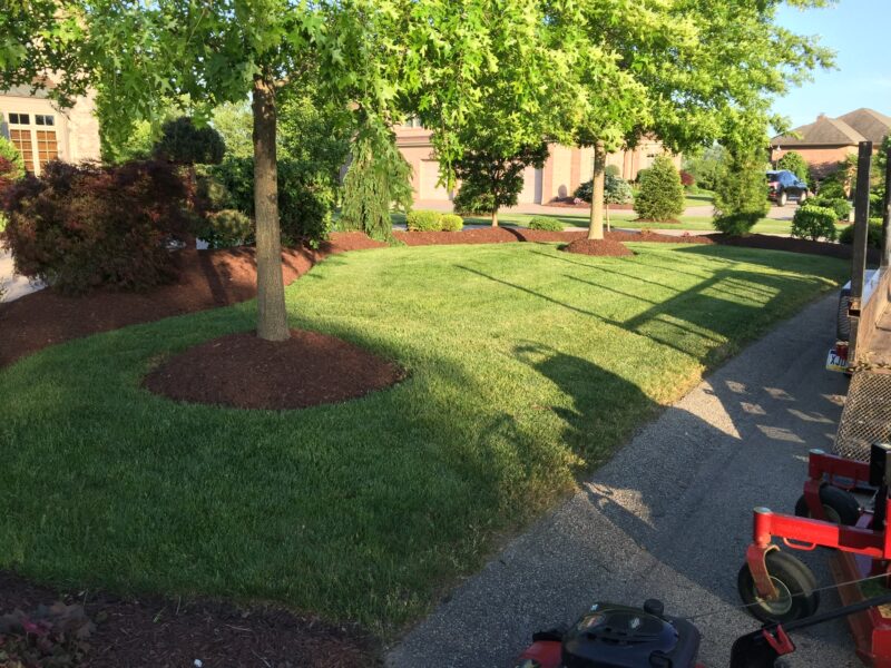 Landscapers in McMurray
