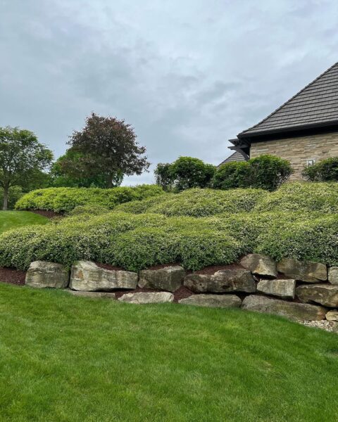 Landscaper in Upper Saint Clair