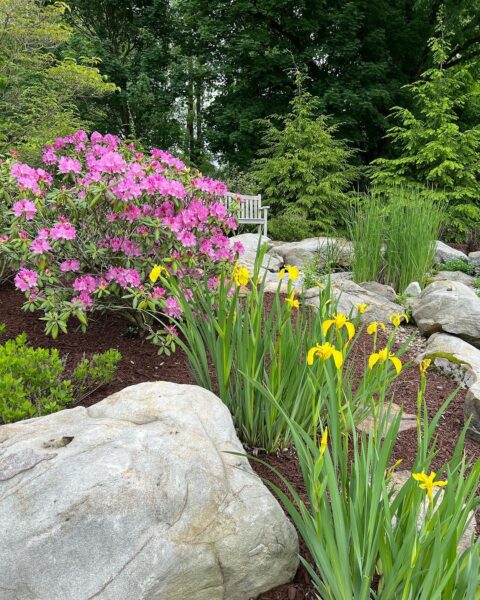 Landscaping Company Upper Saint Clair