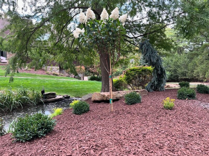 Canonsburg Landscaper