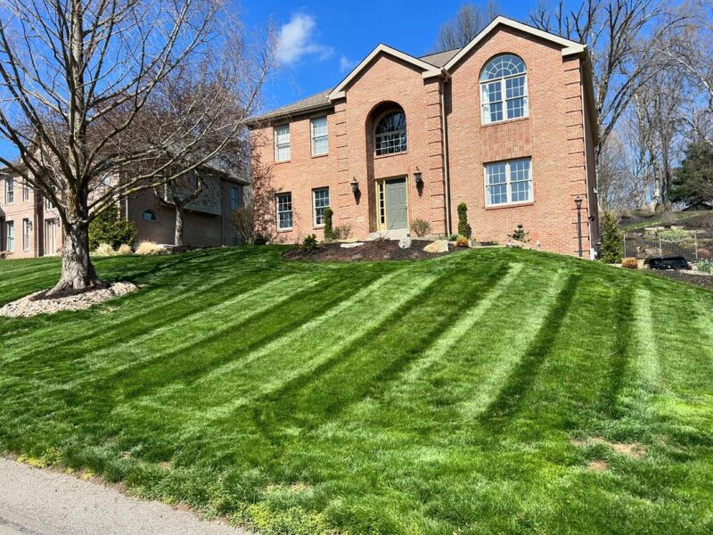 grass cutting service canonsburg